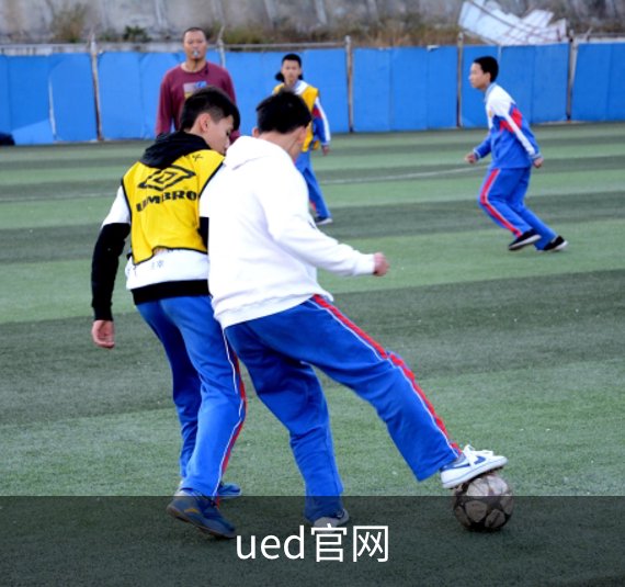 了解ued官网